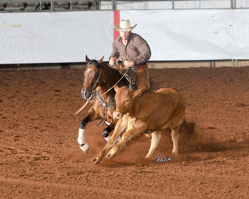 Pennsylvania Reined Cow Horse trainer