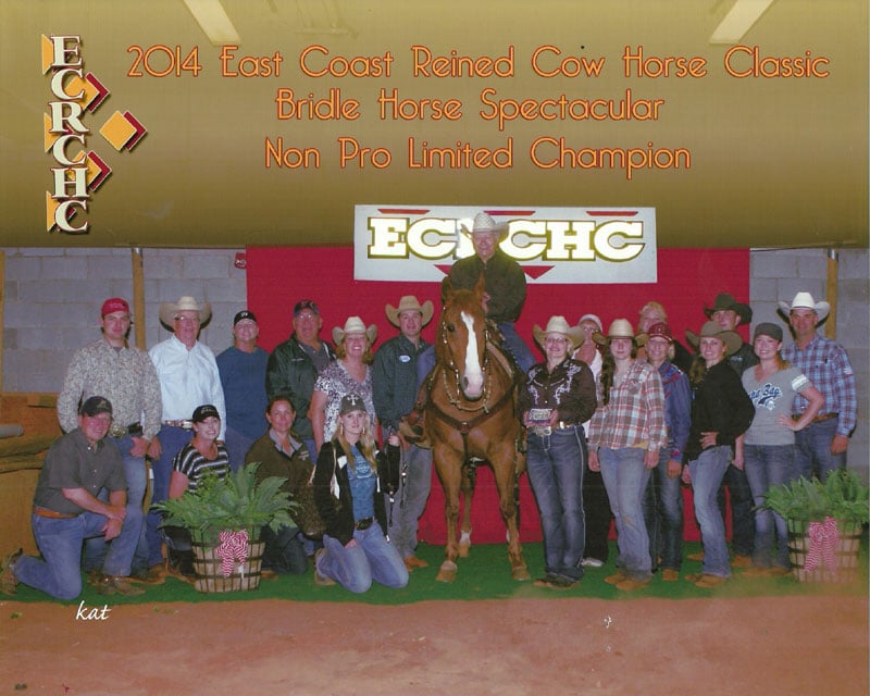 reined cow horses for sale