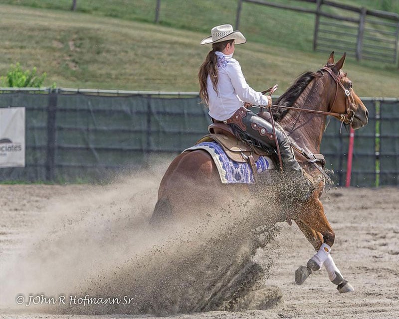 working cow horse trainer