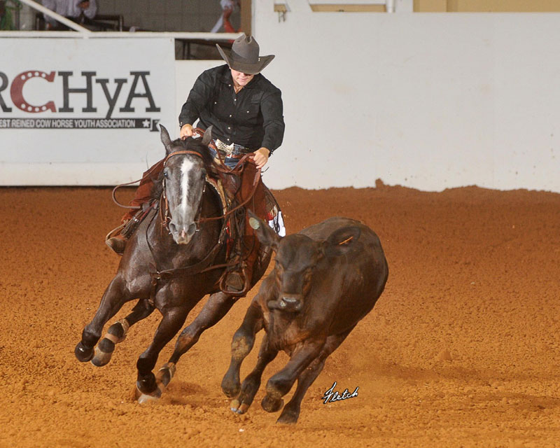 working cow horse trainer in PA